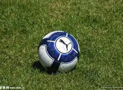 附加赛战局,未定,奇克演绎米,鸿发彩票,互动竞猜平台,在线娱乐,预测挑战,鸿发彩票APP下载