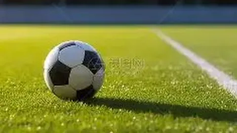 国乒成都基地少儿乒乓球公开赛完美落幕，2025年2月16日结果揭晓